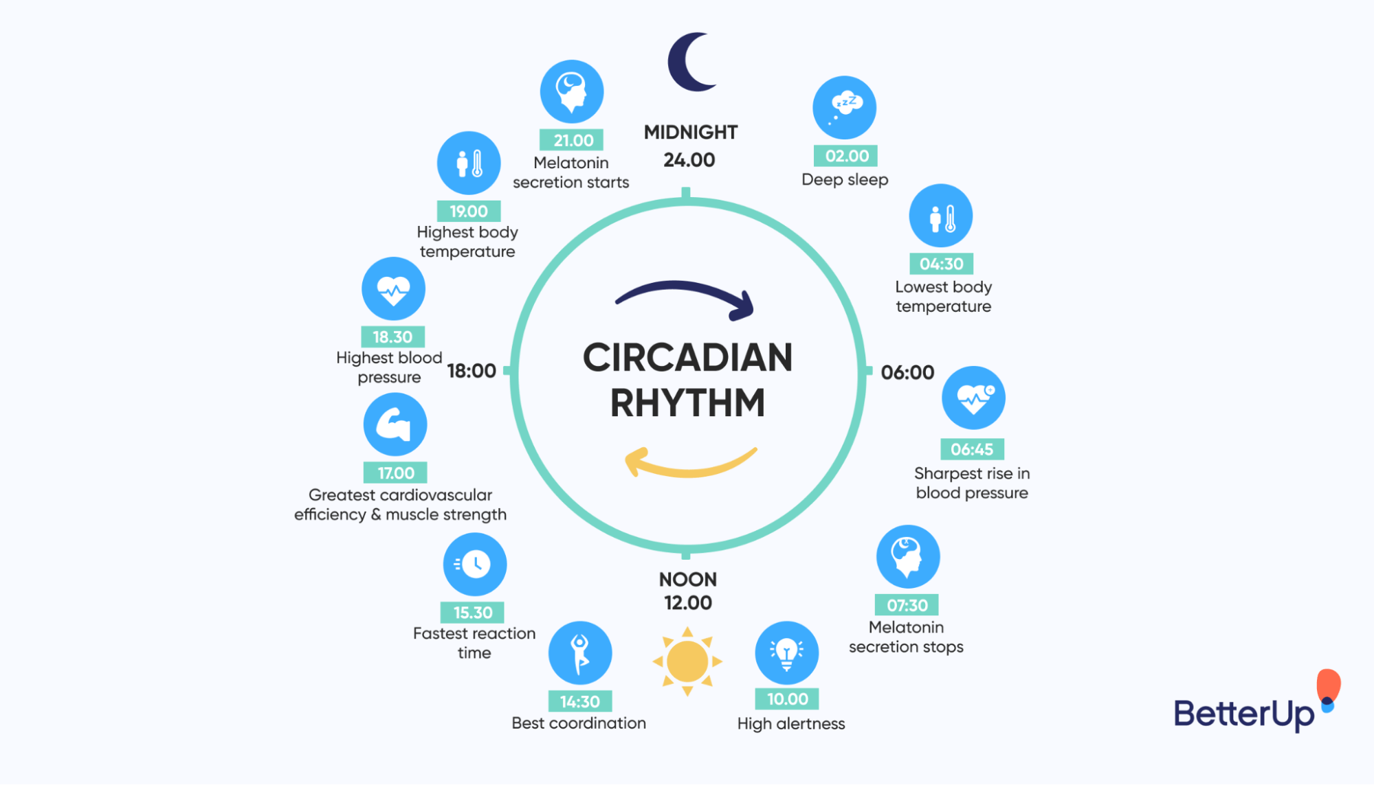 Cómo no perder el sueño por tus ritmos circadianos