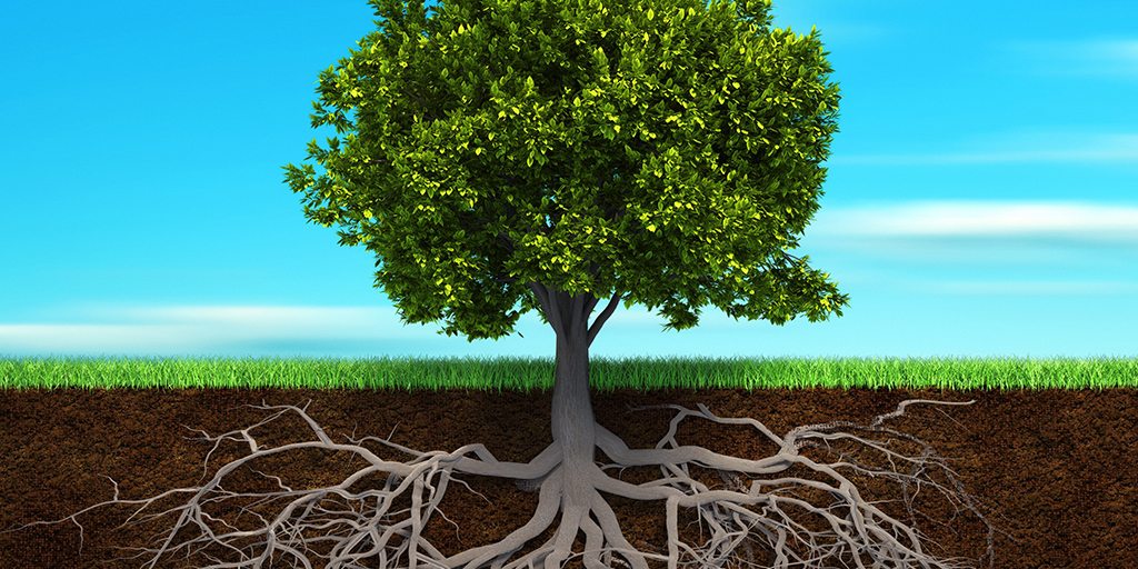 Seminario web de Deloitte: desbloquear el potencial humano (el marco "Roots & Shoots")